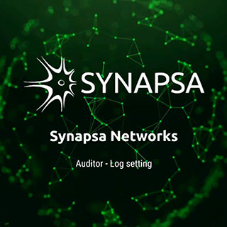 synapsa-auditor-log-setting-video